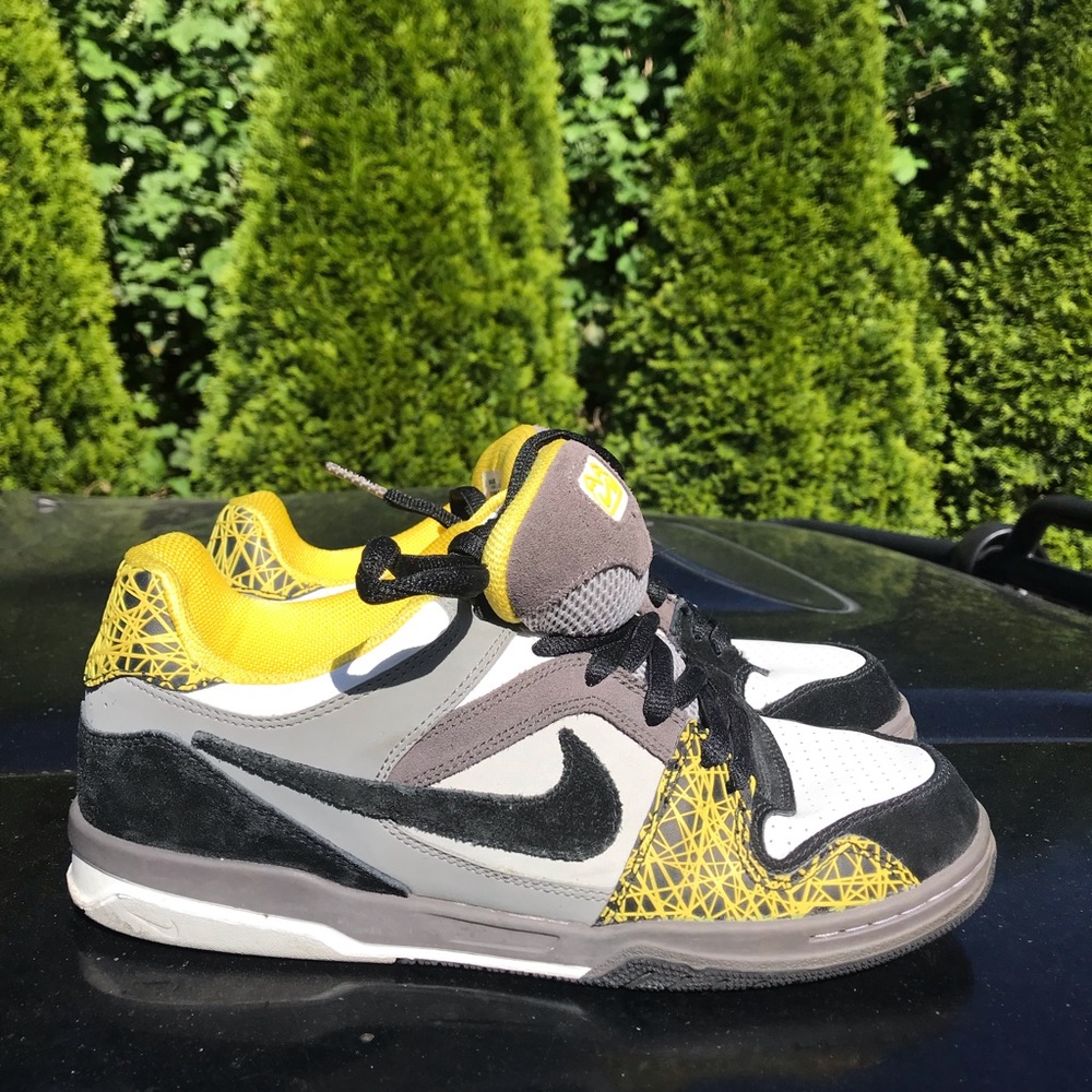 Nike dunk 6.0 Paul Rodriguez skating shoe